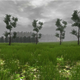 Image for article titled Good Job Folks, There's A Grass Simulator Now
